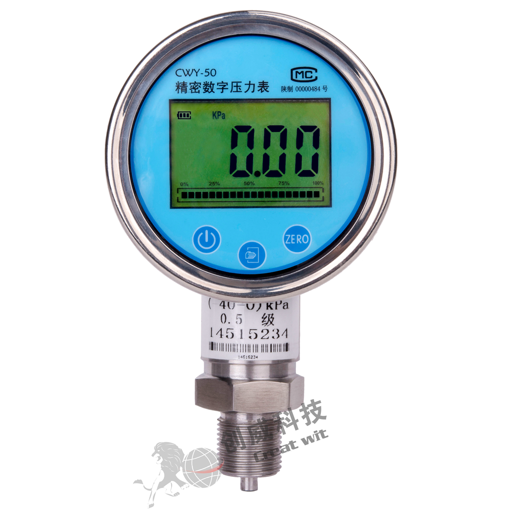 數顯壓力表