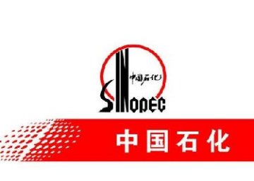 中石化股份有限公司